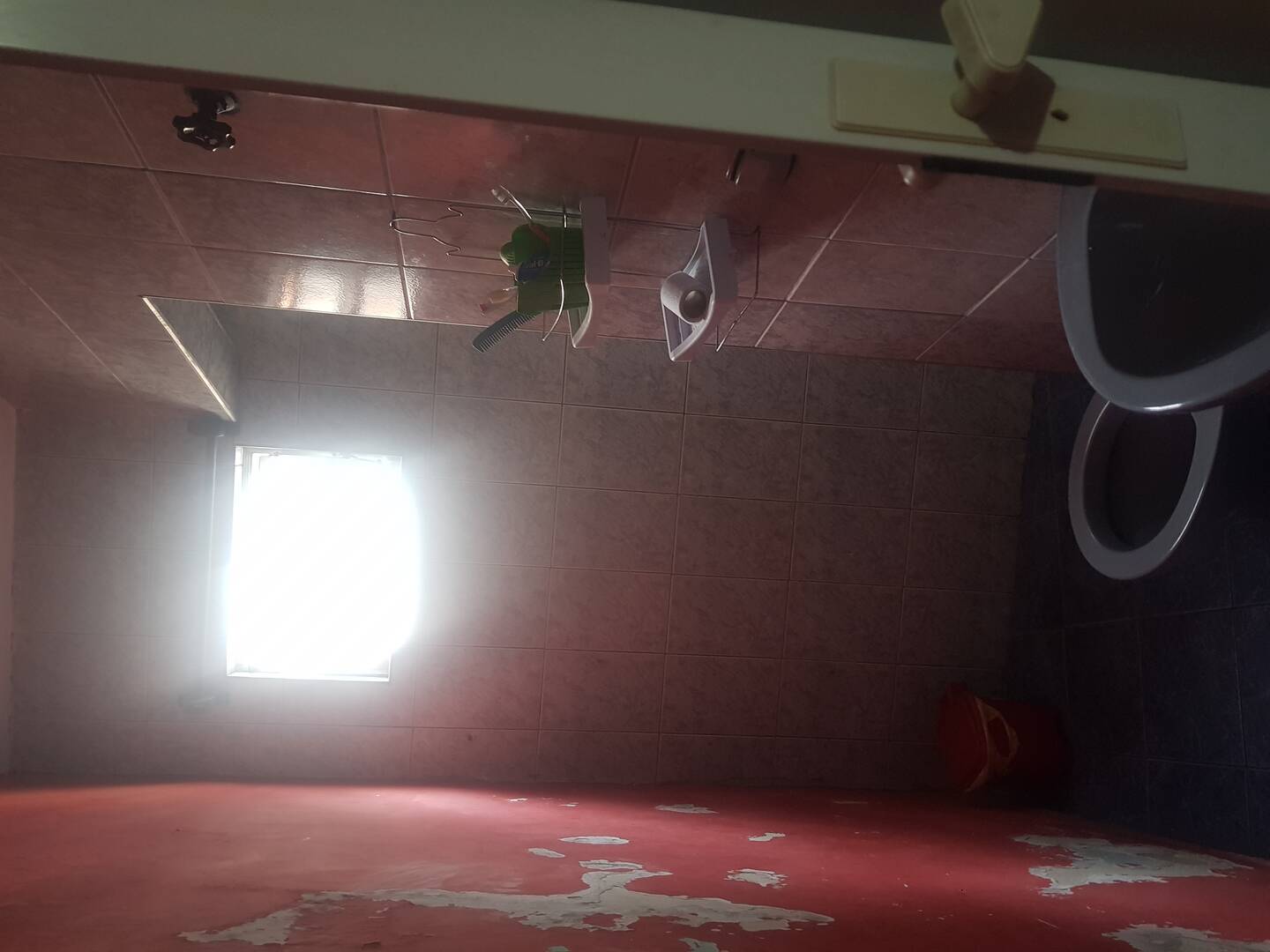 Casa, 3 quartos, 80 m² - Foto 15