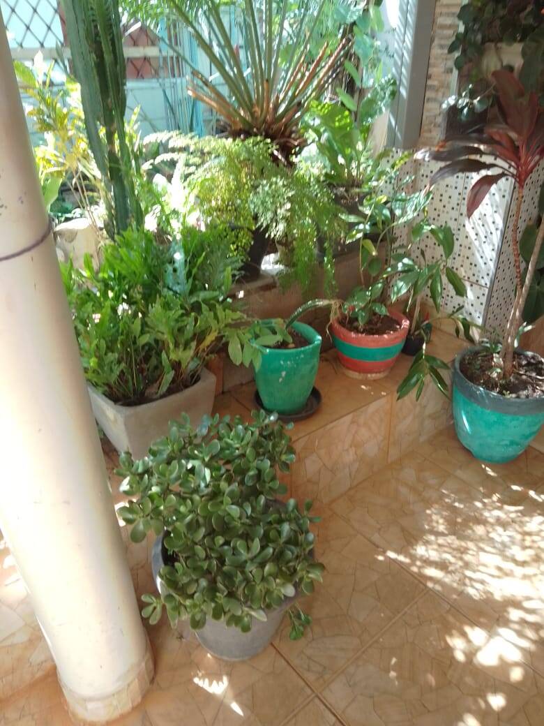 Casa, 3 quartos, 140 m² - Foto 5
