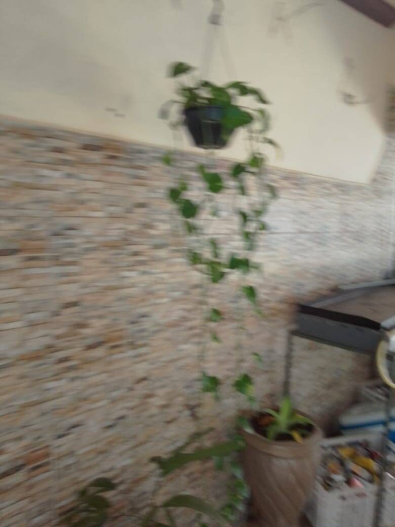 Casa, 3 quartos, 140 m² - Foto 6