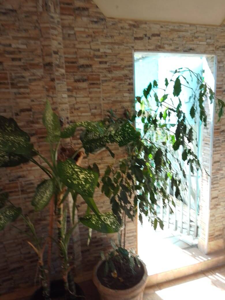 Casa, 3 quartos, 140 m² - Foto 9