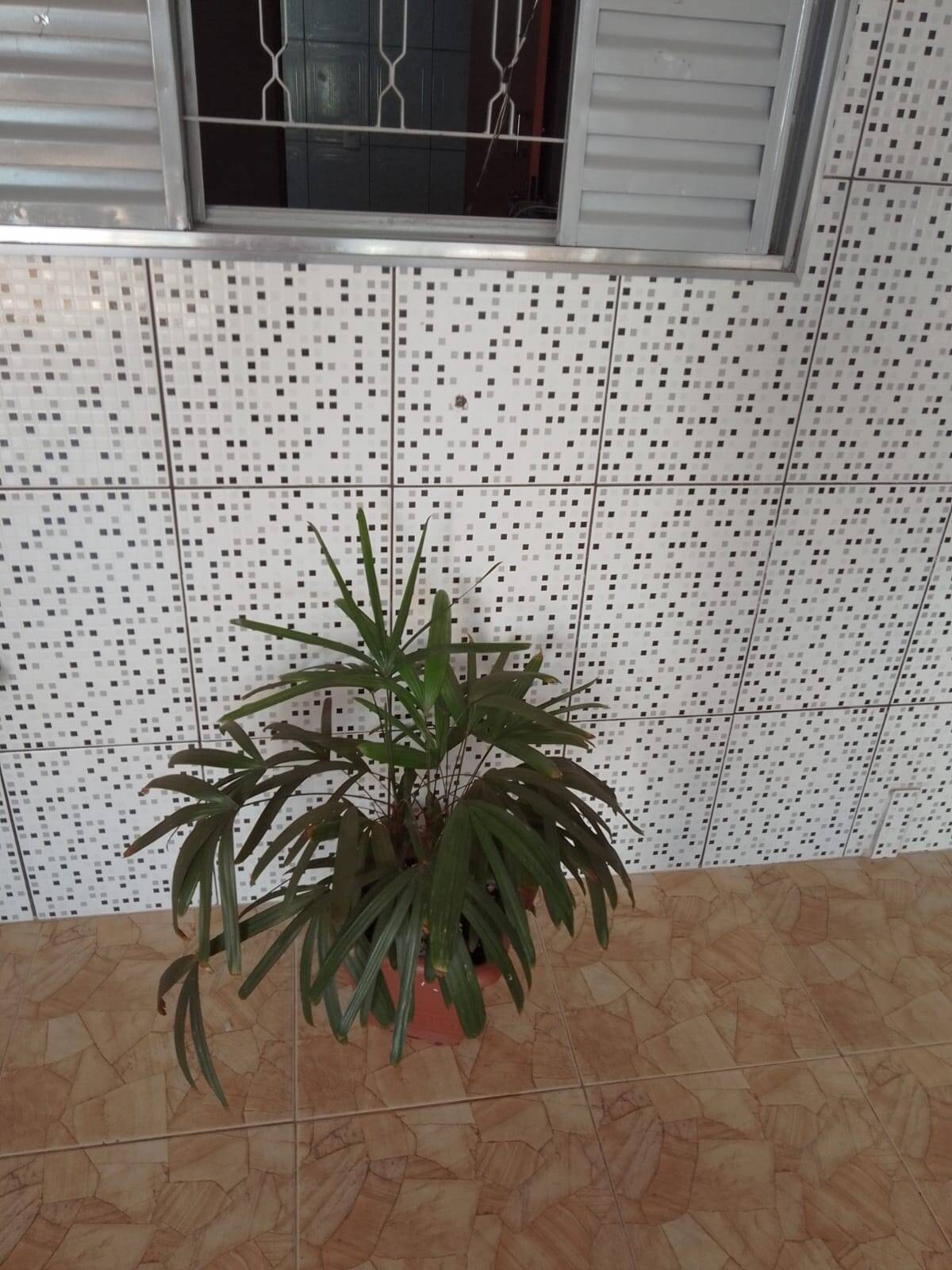Casa, 3 quartos, 140 m² - Foto 12