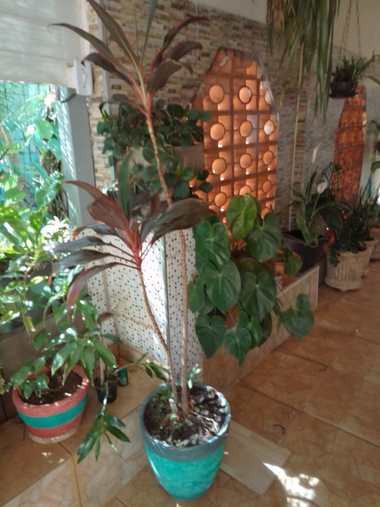Casa, 3 quartos, 140 m² - Foto 16