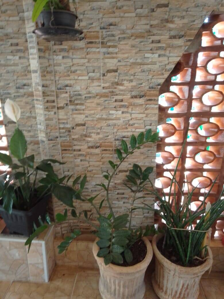 Casa, 3 quartos, 140 m² - Foto 19