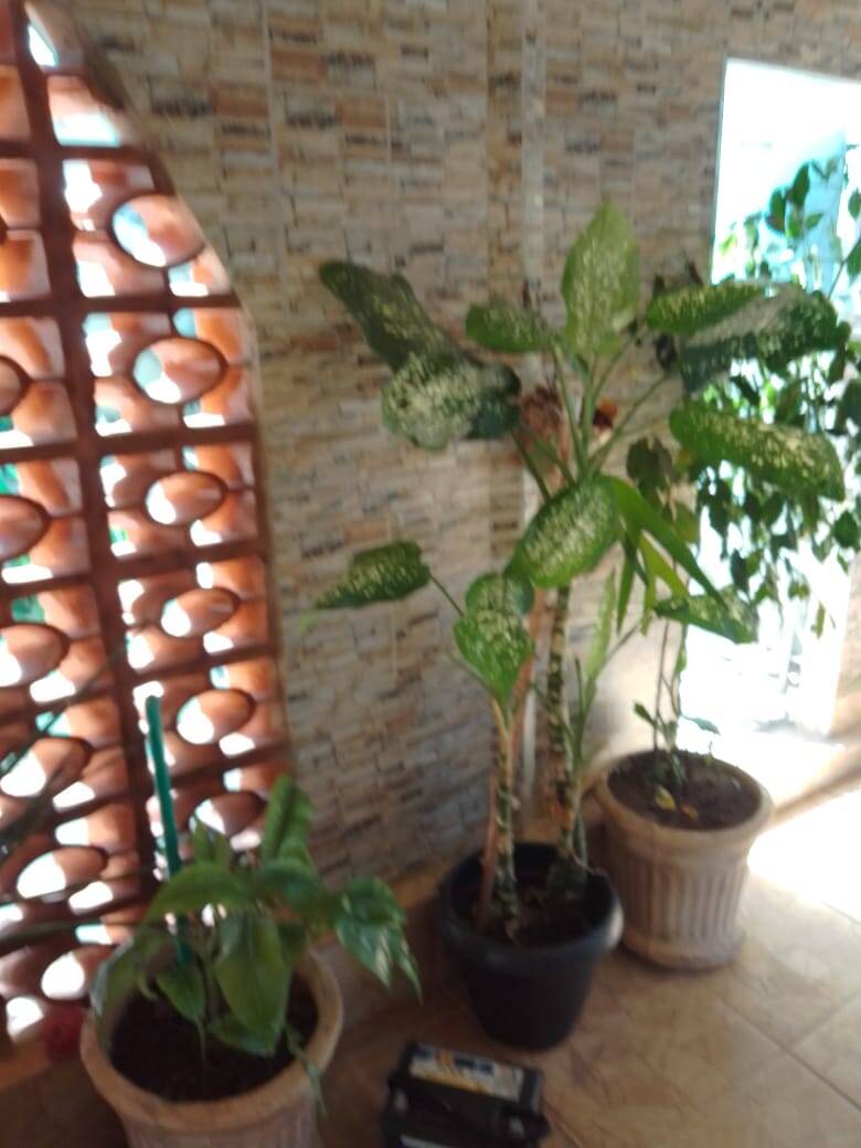 Casa, 3 quartos, 140 m² - Foto 23
