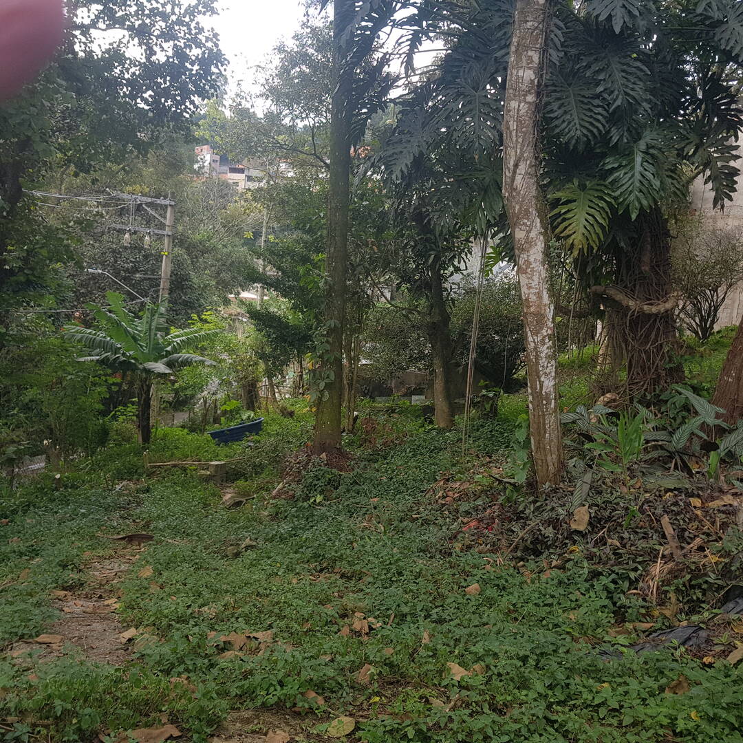 Terreno - Foto 4