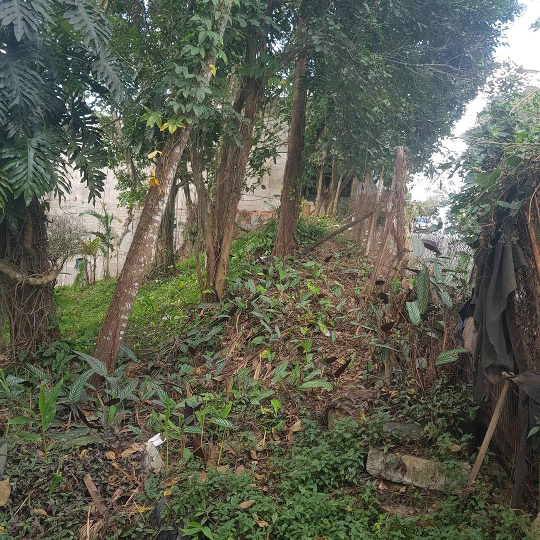 Terreno - Foto 7