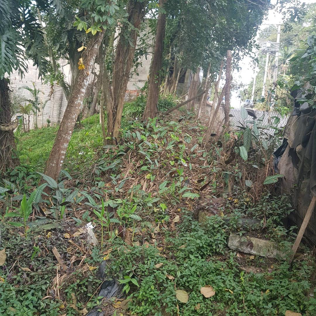 Terreno - Foto 6