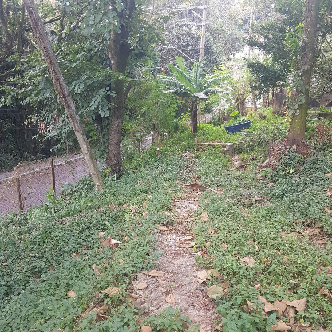 Terreno - Foto 8