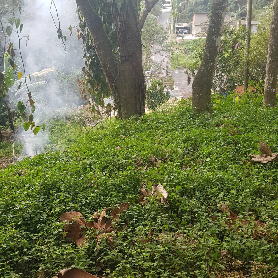 Terreno - Foto 11