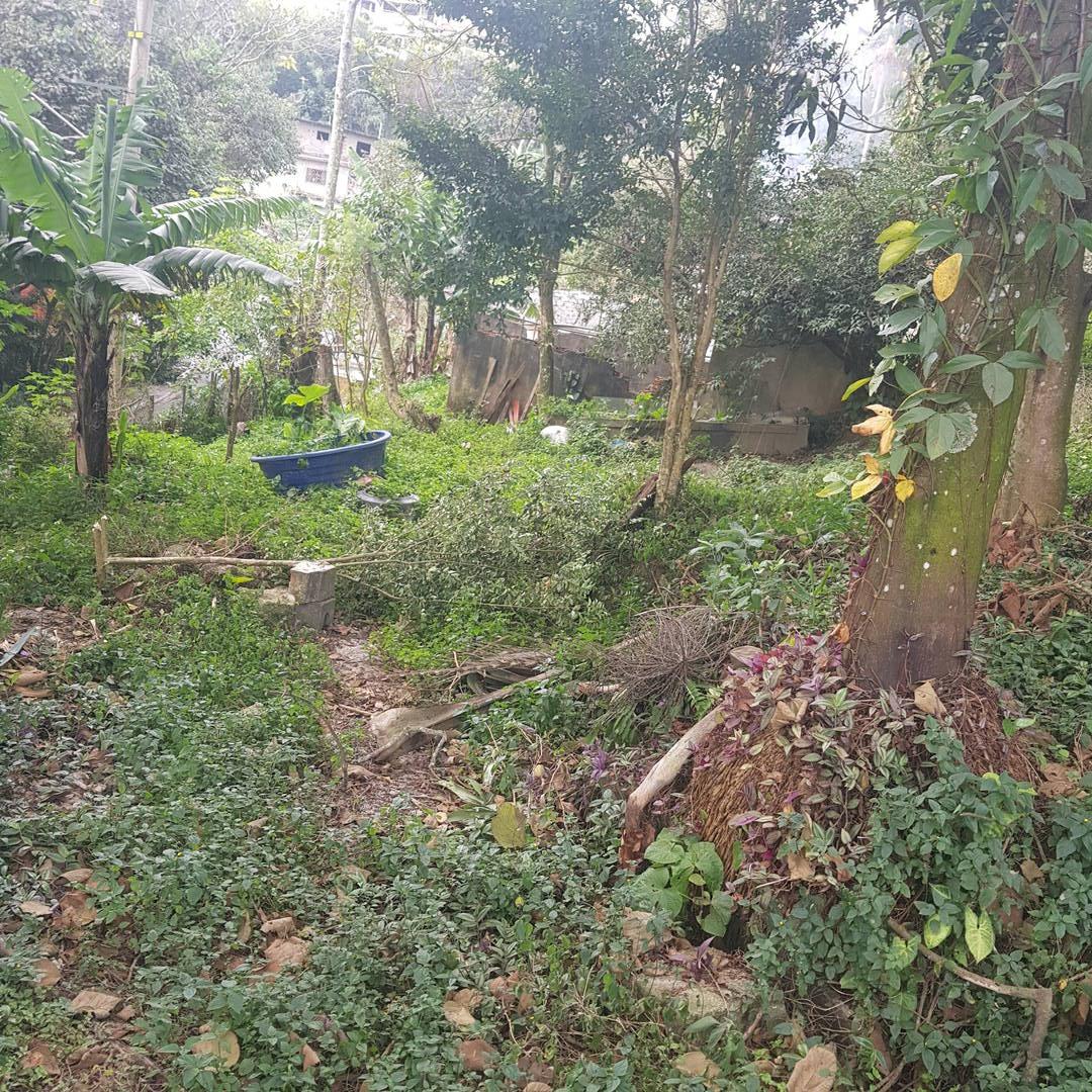 Terreno - Foto 13