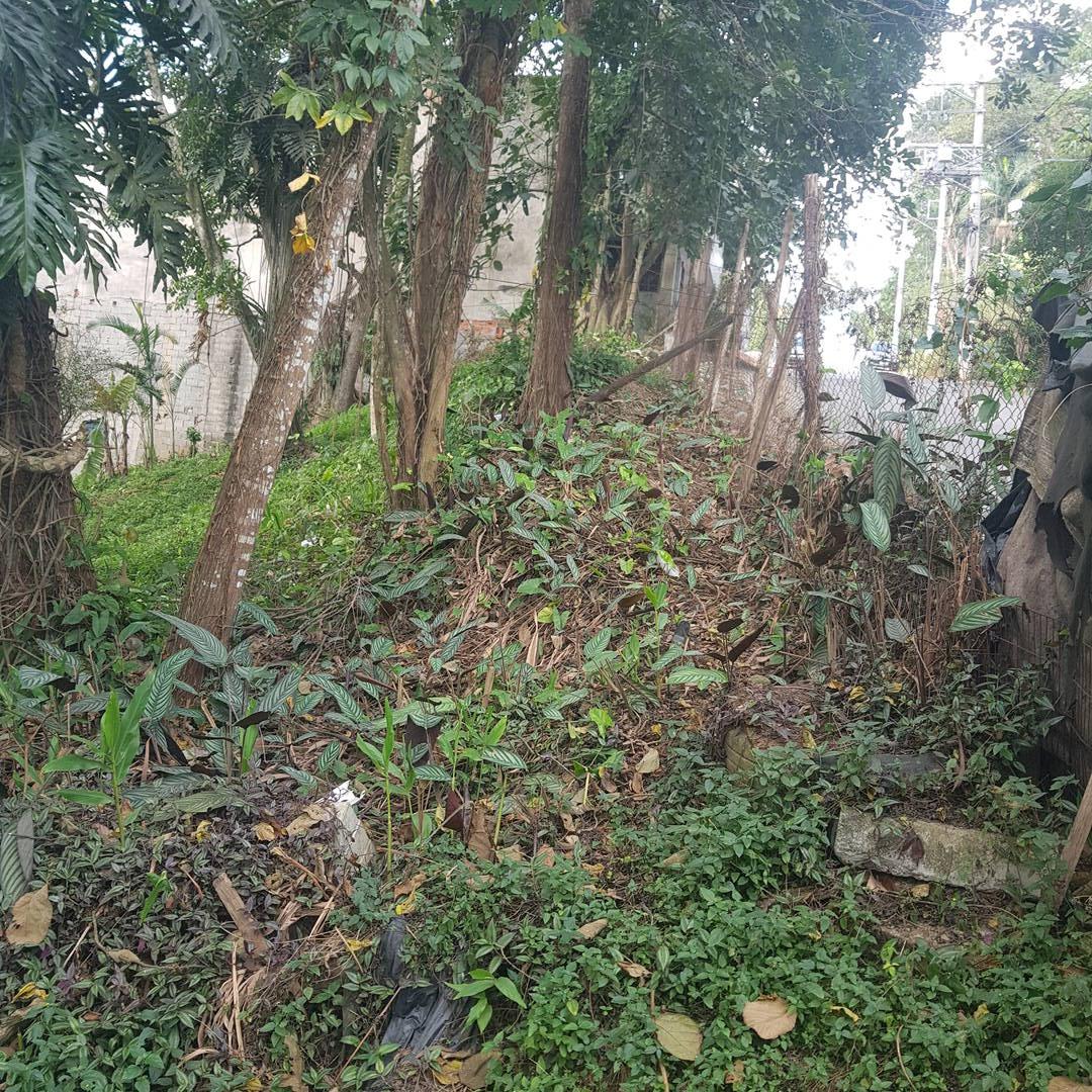 Terreno - Foto 14