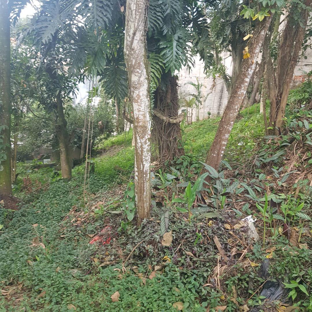 Terreno - Foto 15
