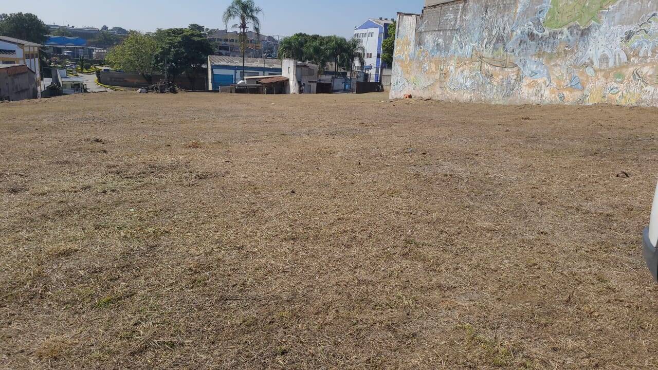 Terreno, 5000 m² - Foto 3