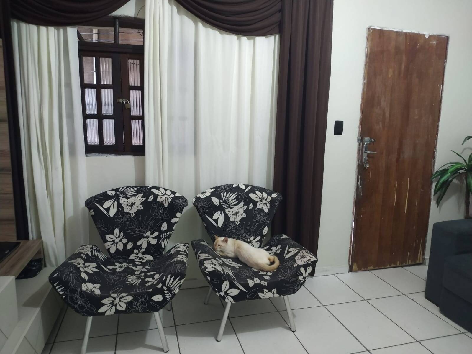 Casa, 3 quartos, 100 m² - Foto 1