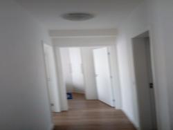 Apartamento para Locação em Diadema - 4