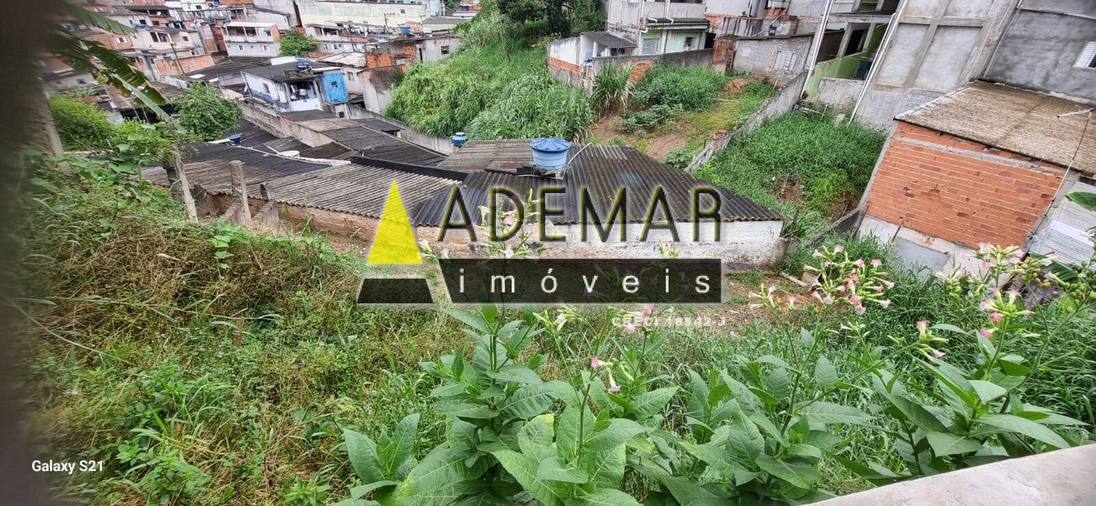 Casa, 4 quartos, 350 m² - Foto 17