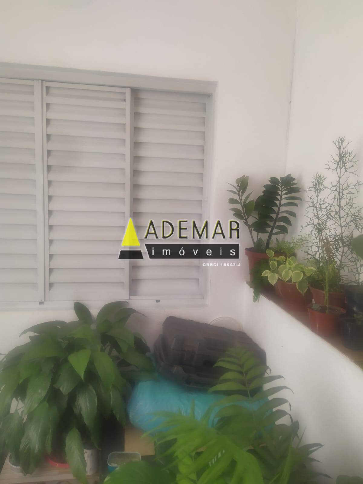 Casa, 3 quartos - Foto 27